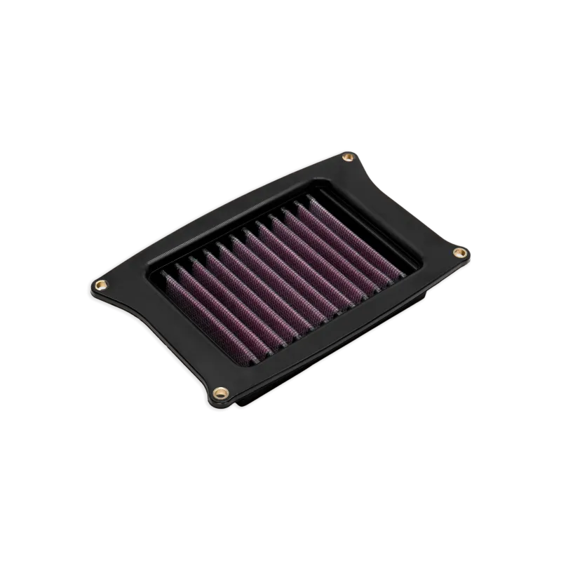 Filtro de aire DNA para Aprilia RS 457 Race P-AP45S24-0R