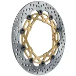 Pareja Discos de Freno Brembo Racing 310 Supersport 208973734