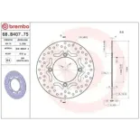 Disco de freno moto Brembo fijo Serie Oro 68B40775