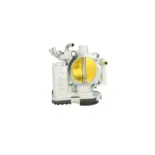 NRF 408033 Cuerpo de mariposa