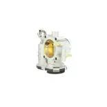 NRF 408033 Cuerpo de mariposa