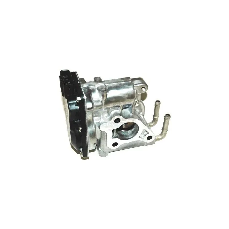 FINDAL 88230 Válvula EGR y tubo de admisión