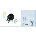 FAE 63300 Interruptor