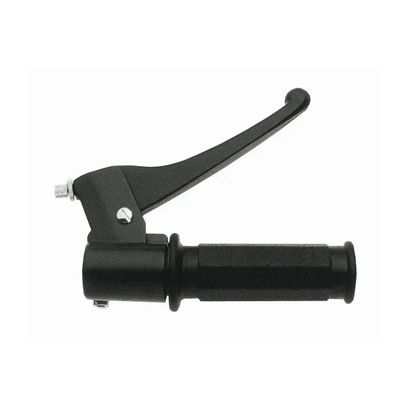 Acelerador Domino Piaggio con puños 0663.03