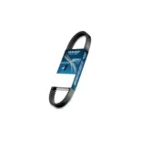 Correa Dayco para moto Piaggio Vespa Fi2