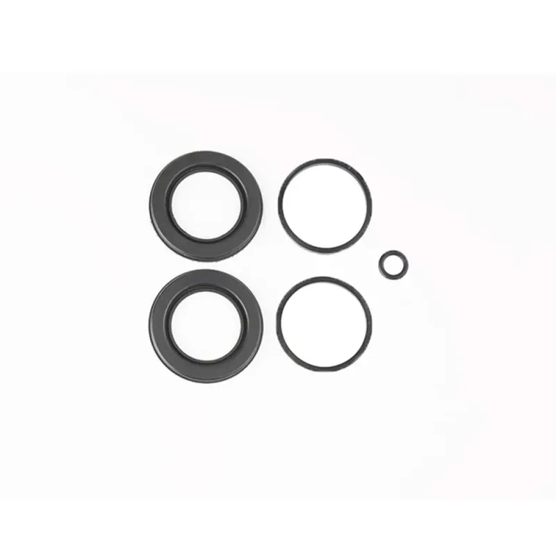 Kit reparacion pinza de freno BMW  series K y R 13855-PI