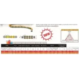 Cadena Regina 520 Enduro 118 pasos