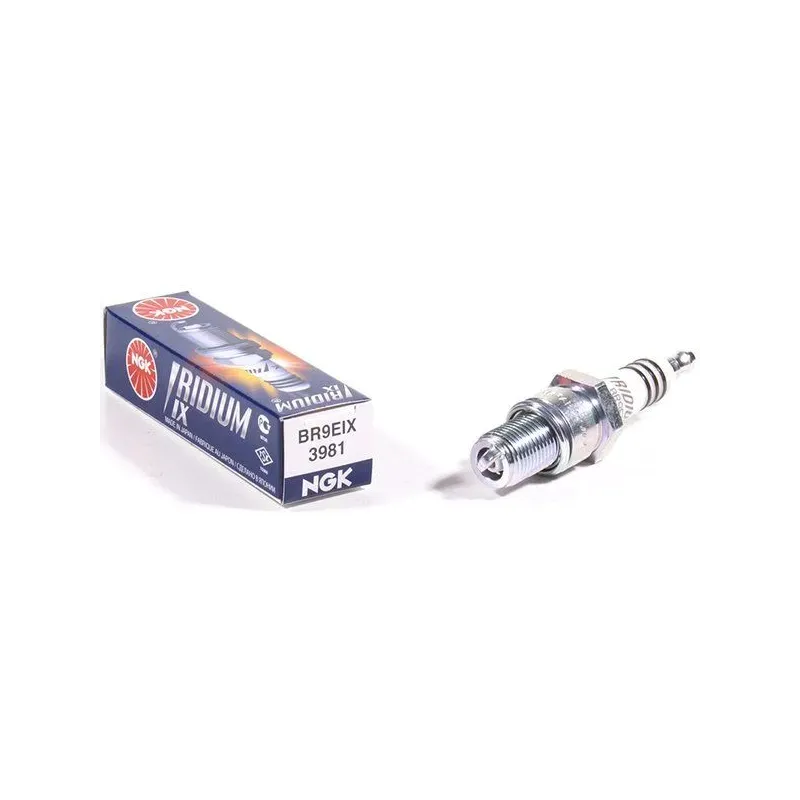 Bujía de moto NGK 3981 Iridio BR9EIX