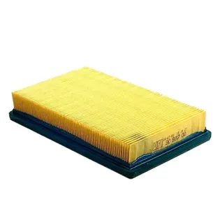 Filtro Aire Ligier F.3099700 - F2643880