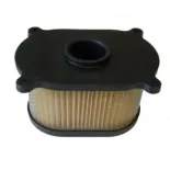 Filtro Aire Meiwa Hyusung Gt Comet 125 - F264752
