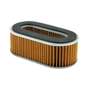 Filtro Aire Meiwa Honda Ch 250 - F264851