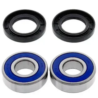 Kit de rodamientos rueda All Balls 25-1379 