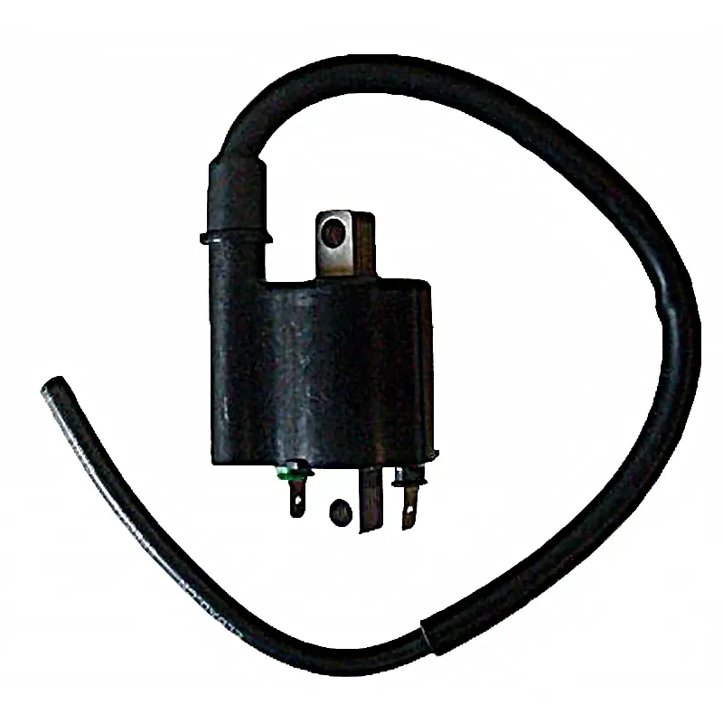 Bobina 12V 3 Ohm - 2 Fastons Con Cable 40 Cm. - 04174320