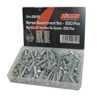 Surtido tornillos métricos Toolhub 9845 para moto/automoción (250 pzs)