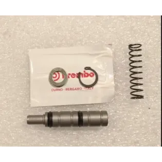 it reparación bomba trasera Brembo 15 mm 110377320 (pistón, muelle y retenes)