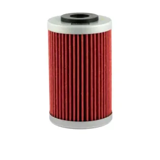 Filtro de aceite Champion para moto COF055