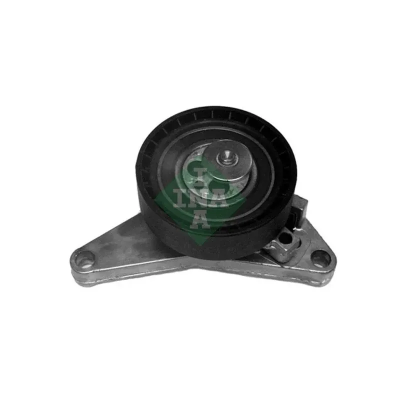 Schaeffler INA 531 0113 30 Polea tensora, correa dentada