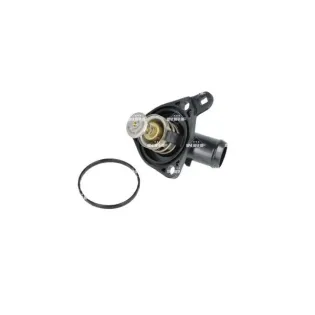 NRF 725249 Termostato, refrigerante