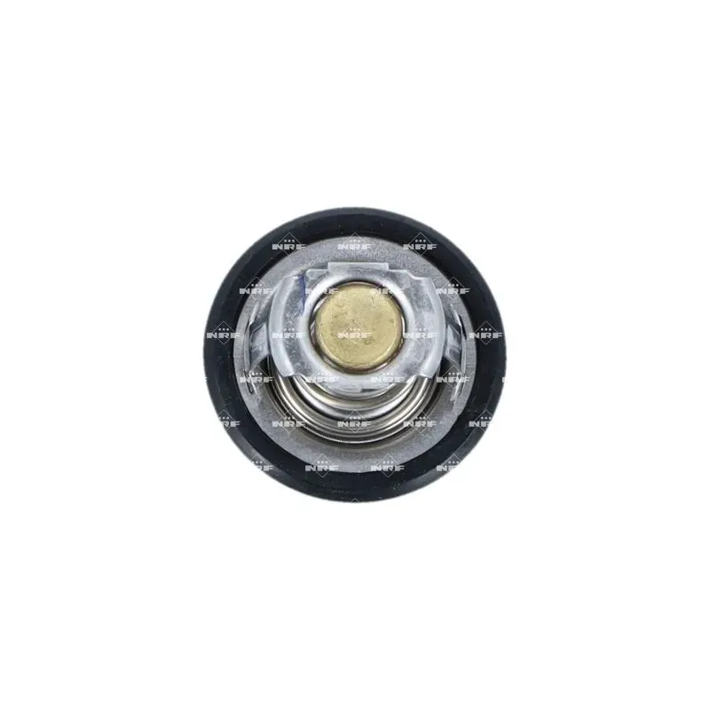 NRF 725323 Termostato, refrigerante