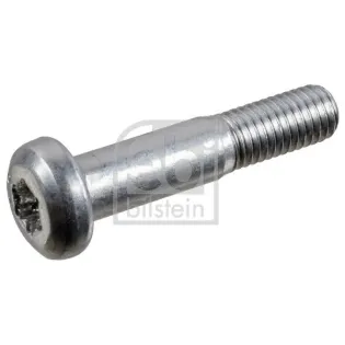 FEBI BILSTEIN 24391 Tornillo, brazo transversal