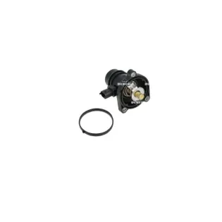 NRF 725024 Termostato, refrigerante
