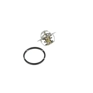 NRF 725129 Termostato, refrigerante