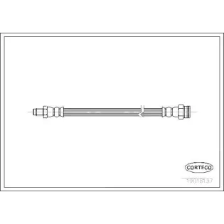 CORTECO 19018137 Tubo flexible de frenos