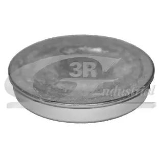 3RG 84702 Tapa protectora, buje de rueda