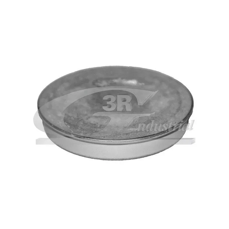 3RG 84702 Tapa protectora, buje de rueda