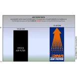 Filtro de aire DNA Honda CRF 300 Series (21-23) P-H3E21-01