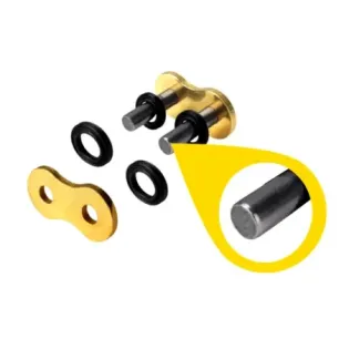 Remache Regina hpe 520 19 135HPE
