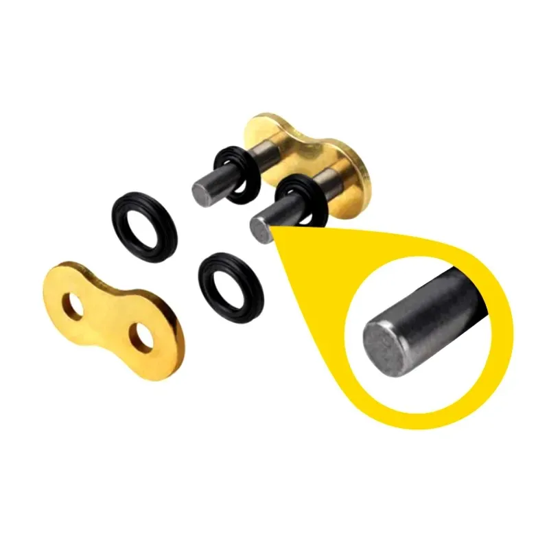 Remache Regina hpe 520 19 135HPE