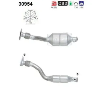 AS 30954 Catalizador