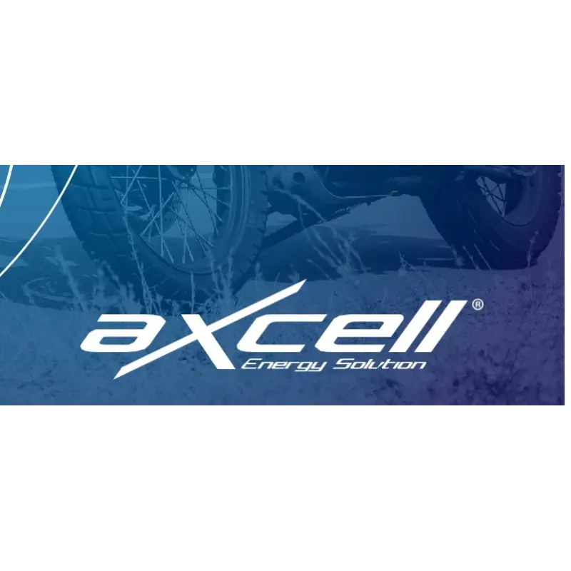 cargador de baterias de moto inteligente axcell 200289
