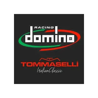 Maneta de embrague Domino