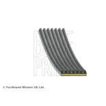 BLUE PRINT AD07R1065 Correa trapecial poli V
