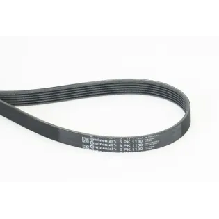 CONTINENTAL CTAM 6PK1130 Correa trapecial poli V