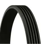 CONTINENTAL CTAM 5PK1646 Correa trapecial poli V