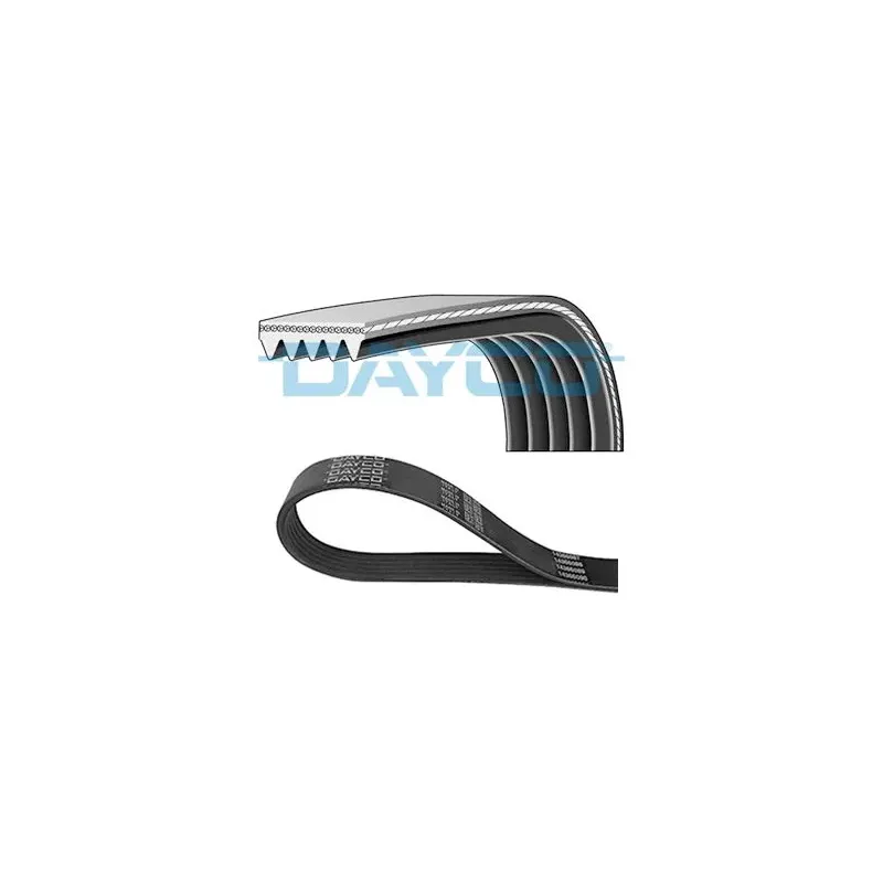DAYCO 5PK1810S Correa trapecial poli V
