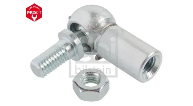 Articulaciones/ Rótulas