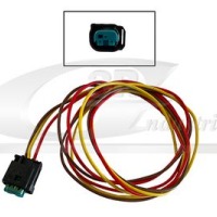Sensor/sonda