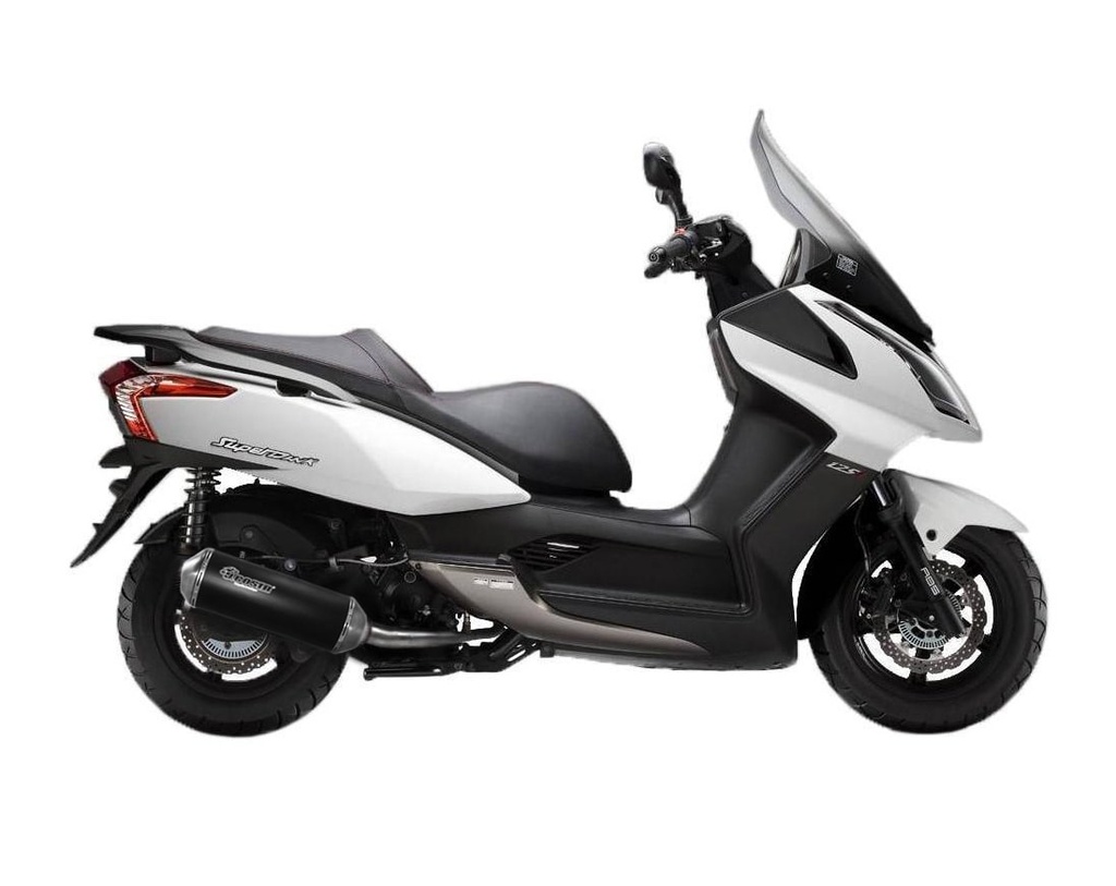 KAWASAKI · J · J300 · 299 cc 27 CV Gasolina (2014-01)