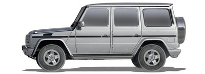 MERCEDES-BENZ CLASE G (W460) 250 GD (460,3)